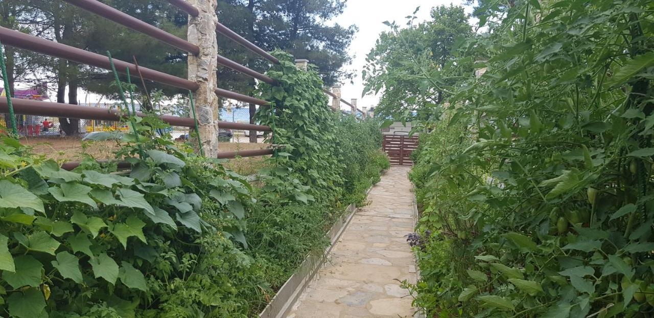 Hatzoudis Luxury Suites Chrysi Ammoudia Zewnętrze zdjęcie